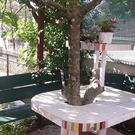 Apartament Eleni Tivat Zewnętrze zdjęcie