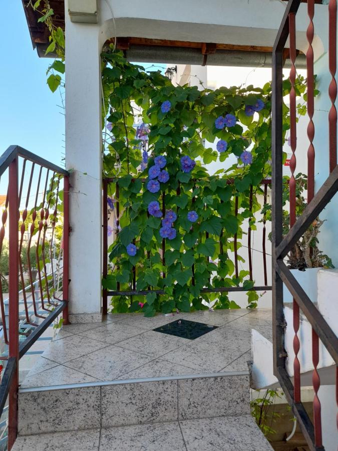 Apartament Eleni Tivat Zewnętrze zdjęcie